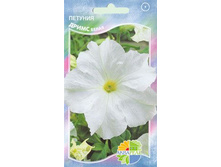 ������� ����� �����_12.80+%