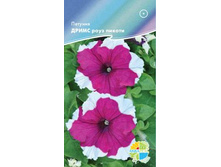 ������� ����� ���� ������_12.80+%