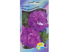 ������� ��� ����������_21.00+%