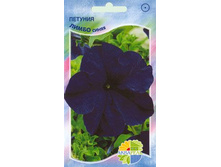 ������� ����� �����_15,90+%