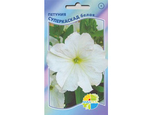 ������� ����������� �����_12,80+%