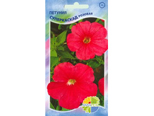 ������� ����������� �������_12,80+%