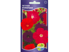 ������� ��������_9.00+%