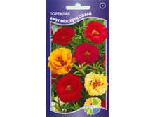 �������� ���������������_9.70+%