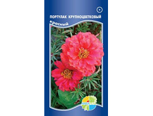 �������� ��������������� �������_13.60+%