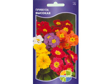 ������� �������_10.80+%