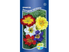 ������� ������� �������_21.00+%