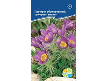 �������� ������������, ���-����� ������ _12.80+%