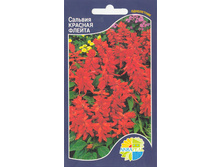 ������� ������� ������_12.80+%