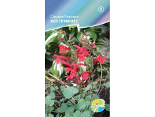 ������� ������� ��� ��������_13.20+%