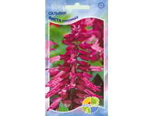 ������� ���������� ����� ���������_6.60+%