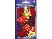 ������� ���������� �����_12.80+%