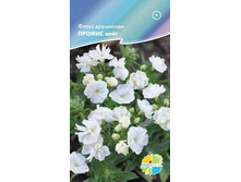 ����� ��������� ������ ����_10.90+%