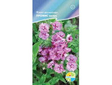 ����� ��������� ������ �����_10.90+%