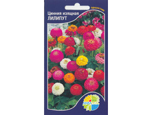 ������ ������� �������_8.90+%