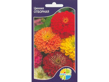 ������ ��������_8.90+%