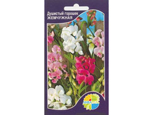 ���� ������� ��������� �������_10.00+%