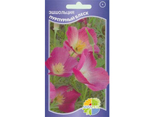 ��������� ��������� �����_8.50+%