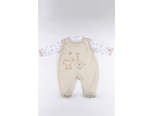 �������� ������ (��������+����.) V1074_ ������ 80_ ���� 340+%