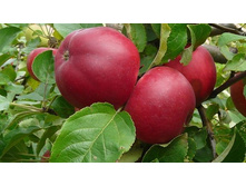 ������ ��������������.jpg