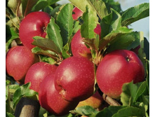 ������ ��������������.jpg