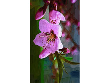 MC02-1 (3)  ������������ �����