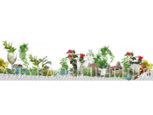 ������� ��������-1.jpg