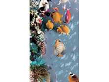 MC05-1 (3) ������������ �����