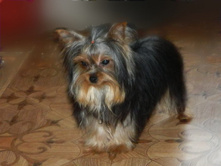 038 - ����� (2)�.jpg