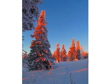 [Group 5]-IMG_ 229_IMG_ 230-2 images.jpg