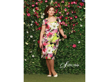 2305089 (������).jpg