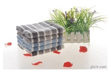 ��������� �������� (��� ����)_���� 92 ���_.gif