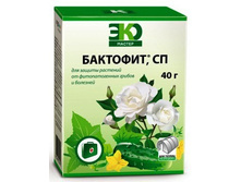 �������� 40�_80 ���+%