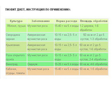 ������ ����_����������.jpg