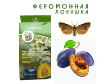 ���������� ������� ��� �������� ����������_175+%