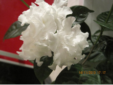 ��������������