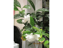 ��������������