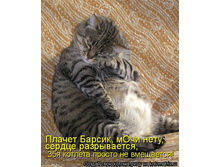 35-� ������� ������ �� ���������(((