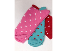 016/4	����� "������� ����" ������     29���