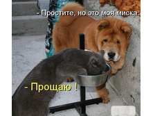 ��������, �� ��� ��� ����� ... ������ ...