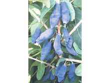 ��������� �����.jpg