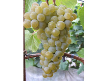 �������� ��������� ��������.jpg