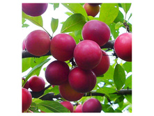 ����� ���������������.jpg