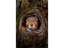 �����. ��� ���?