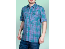 �������� ����� 6049-1.jpg