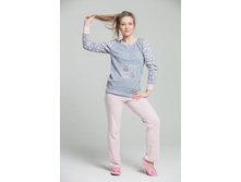 ������ ���������