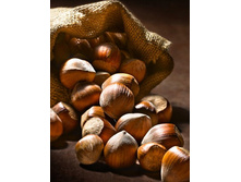 ���� ����������������� ������ ����.jpg