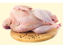 ������� ����������