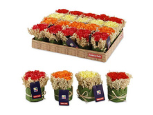 FF 05KFP ������������ ���������� �� ������������� ������ 10 ��