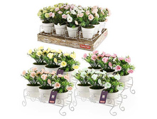 FF 104KT ������������ ���������� �� ������������� ������ 18�� �� ��������� 3 ��.